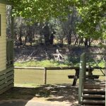 Echuca Moama Riverside Holiday Park