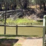 Echuca Moama Riverside Holiday Park