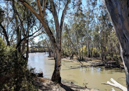 Echuca Moama Riverside Holiday Park