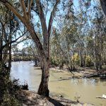 Echuca Moama Riverside Holiday Park